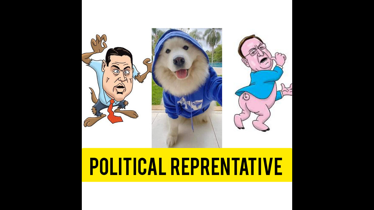 A Political Reprentative - Funny Fights