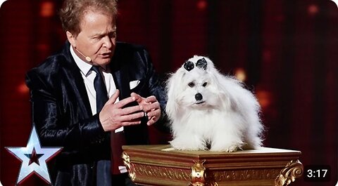 Marc Métral and Miss Wendy wow the crowd | Semi-Final 4 | Britain's Got Talent