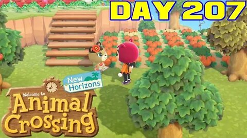 Animal Crossing: New Horizons Day 207 - Nintendo Switch Gameplay 😎Benjamillion