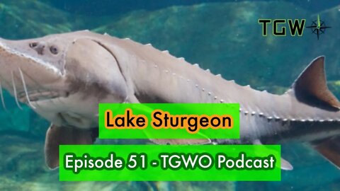 Lake Sturgeon - The Green Way Outdoors Podcast - Episode 51