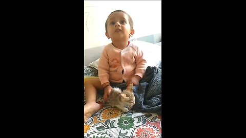 M. Talha playing with cat