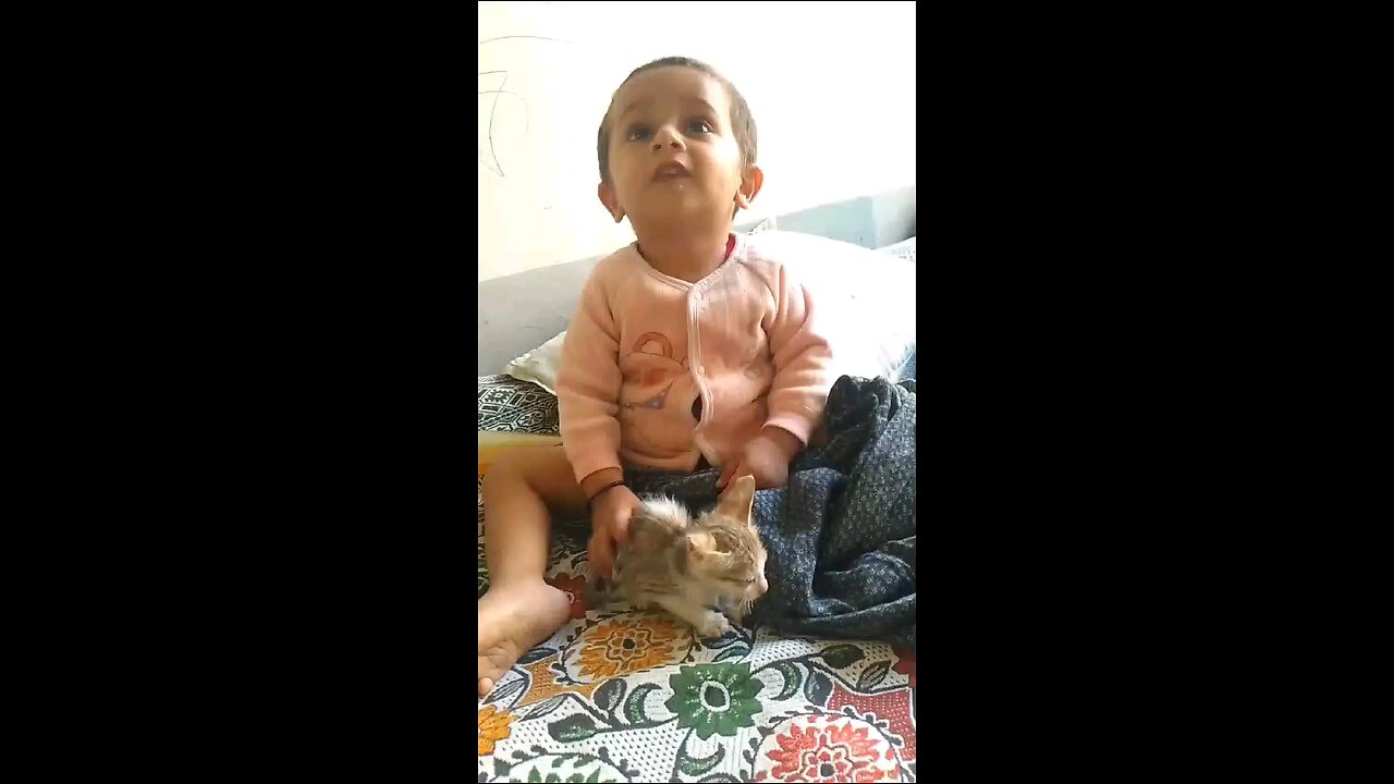 M. Talha playing with cat