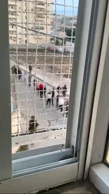 Israel is Mass Arresting the Palestinian Youth from Al-Fawwar refugee camp in the West Bank