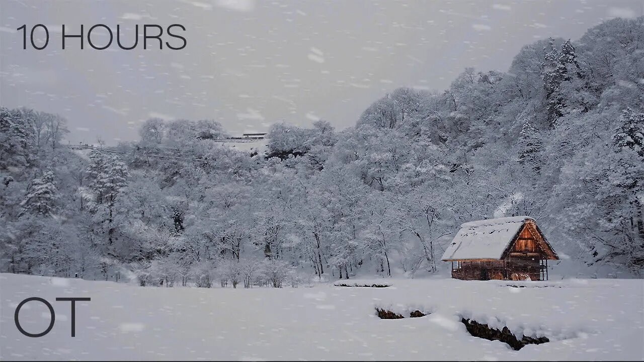 Blizzard in Japan | Howling wind and blowing snow for Relaxing| Studying| Sleeping| Winter Ambience