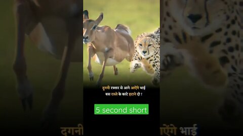 motivational quotes and page #shortvideo #viralshort #motivation