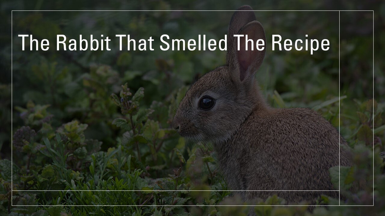 The Rabbit That Smelled The Recipe