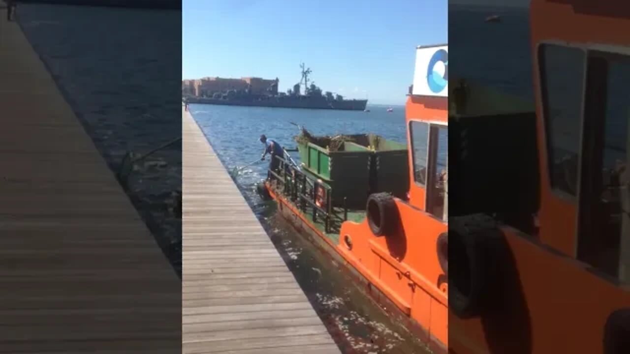 Dock cleaning with a special boat