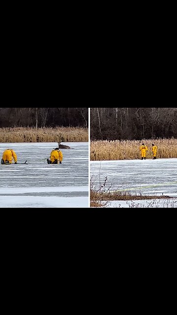 Deer rescued from thin ice in Prior Lake