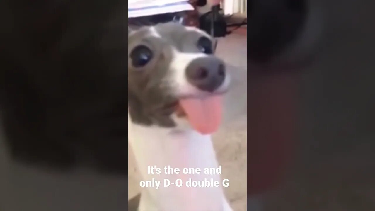 #shorts It's the one and only D-O double G