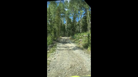 State Forest State Park Colorado