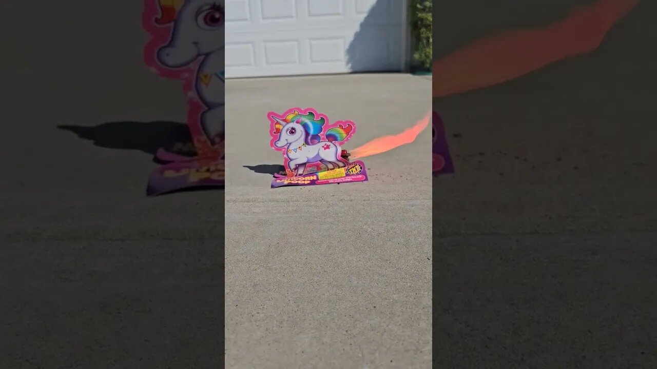 Have You Seen This POOPING FIREWORK? #shorts