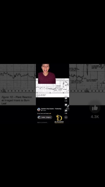 Plants are smarter then you think…