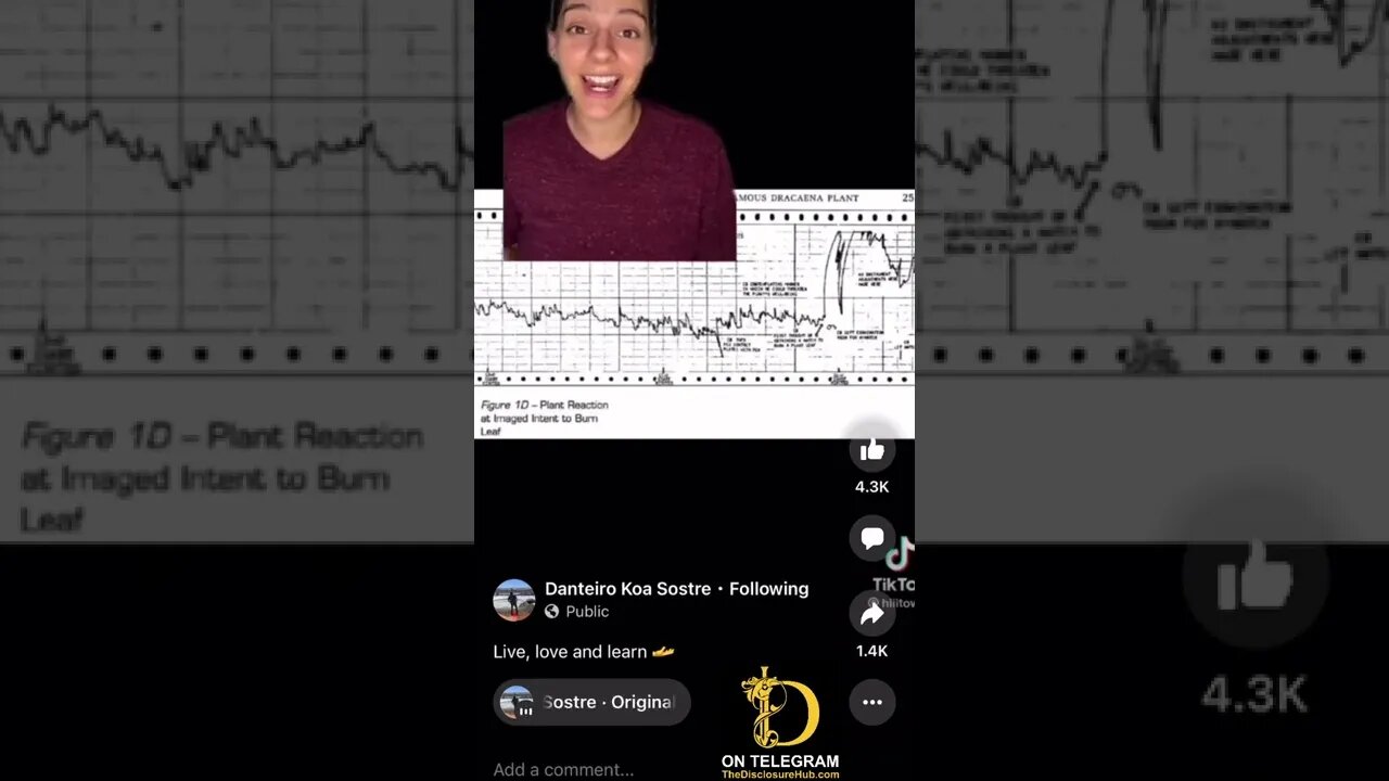 Plants are smarter then you think…