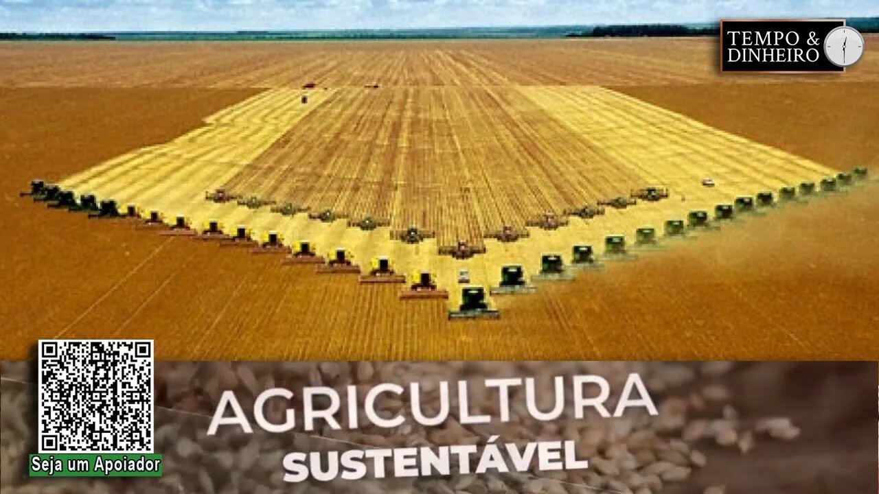 No Oeste da Bahia, sojicultores estão colhendo 67 sacas/ha média com o sistema plantio direto - RZ