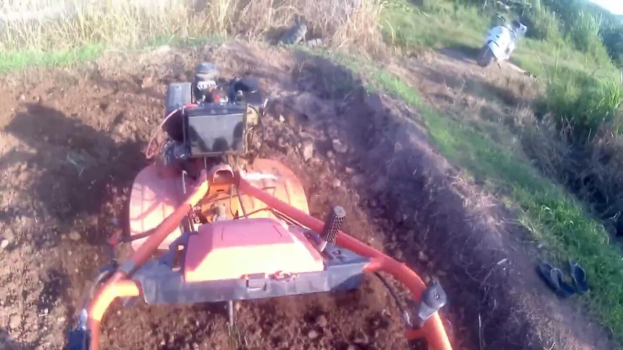 O leme está trabalhando no campo, pronto para plantar pequenas pimentas