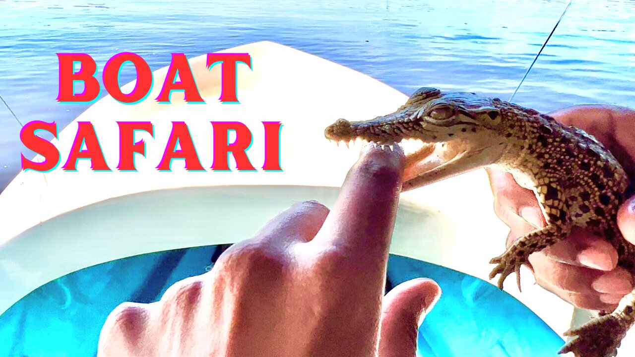 Bentota River Boat Safari