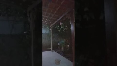 VAI PIORAR TUDO! CARNE CARA! TUDO CARO! IMPOSTO Live agora MARCIA ROHR SOBRE NOVA O... MUNDIAL