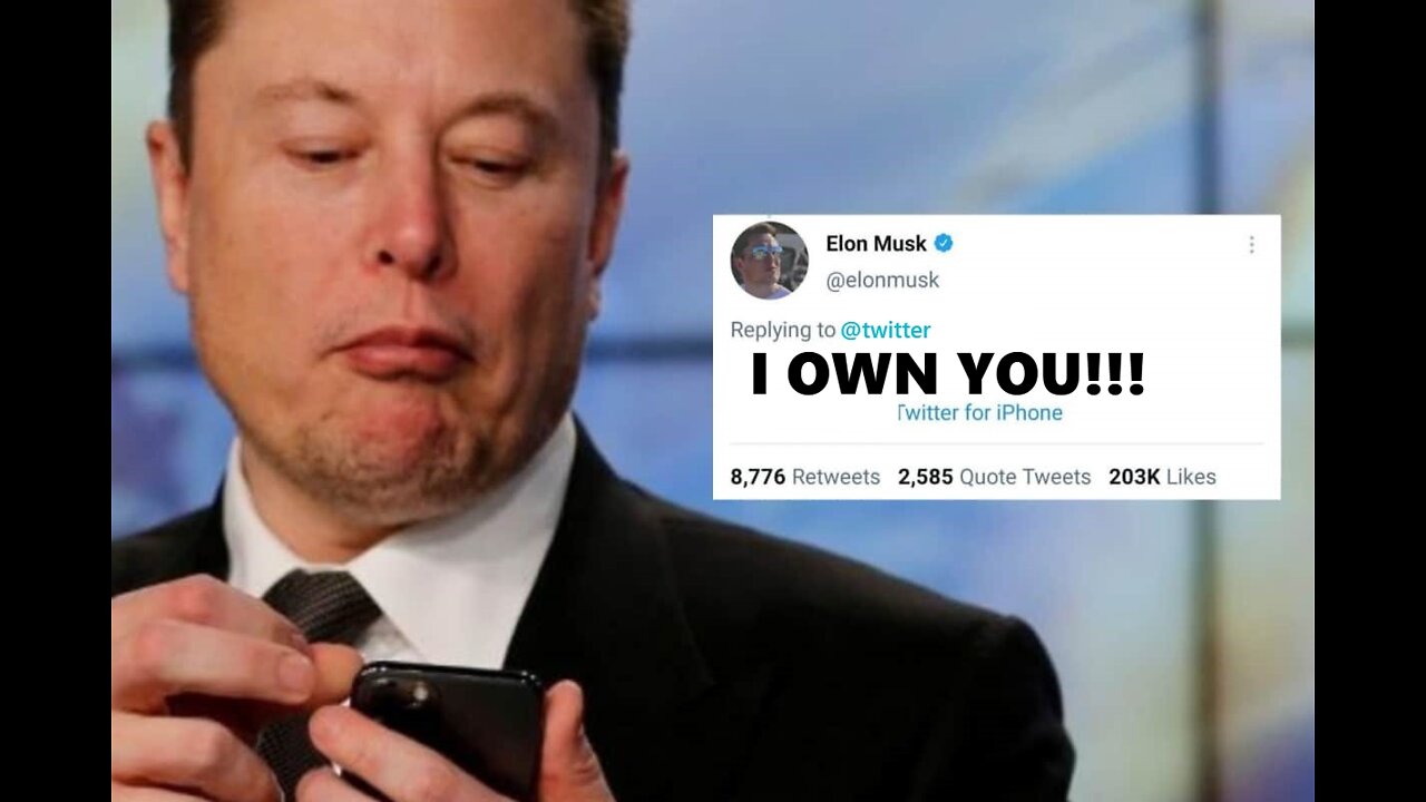 Ellon Musk Takes Over Twitter and Tulsi Backs DeSantis