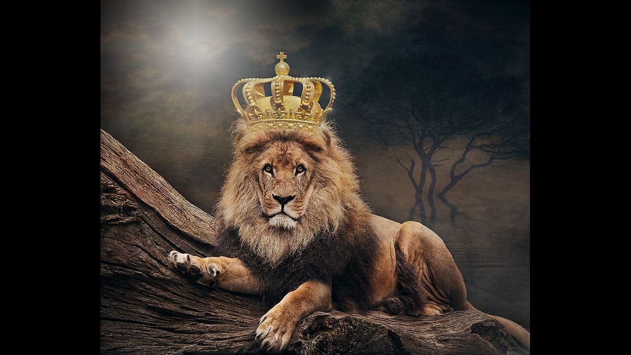 king of wild