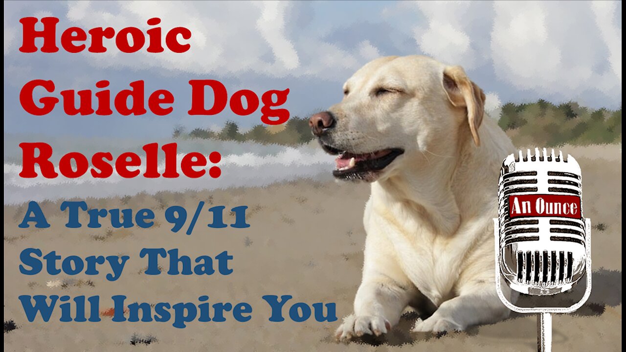 Heroic Guide Dog Roselle: A True 9/11 Story That Will Inspire You