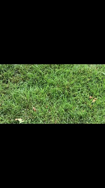 😯 I can go live now