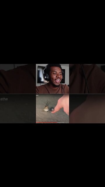 Tadpole Stares at Finger Like It’s His Whole World!🐸🌎