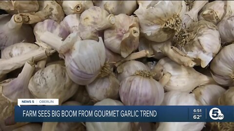 Local farm sees big boom from gourmet garlic trend