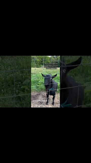 I was expecting applause... #shorts