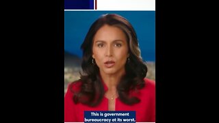 Tulsi Gabbard: FBI, DHS, IRS Are Being Weaponized Against Political Opponents