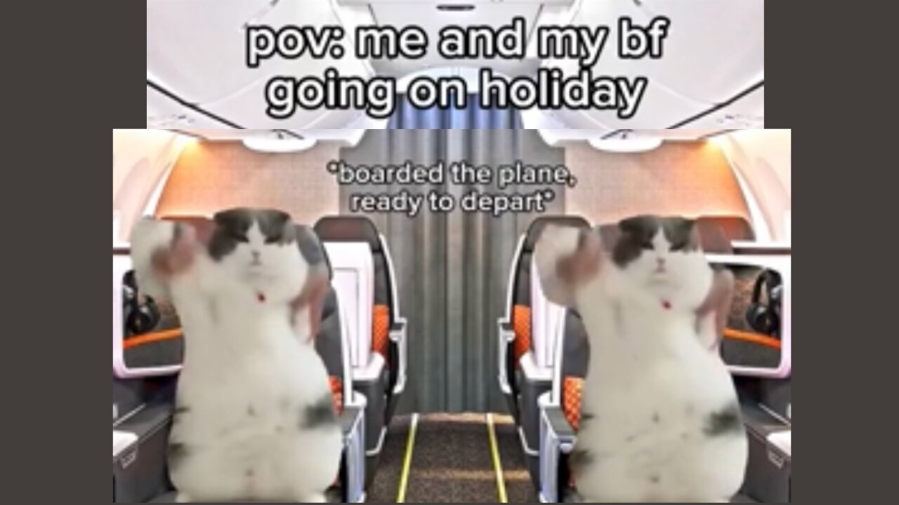 Cat meme part:09