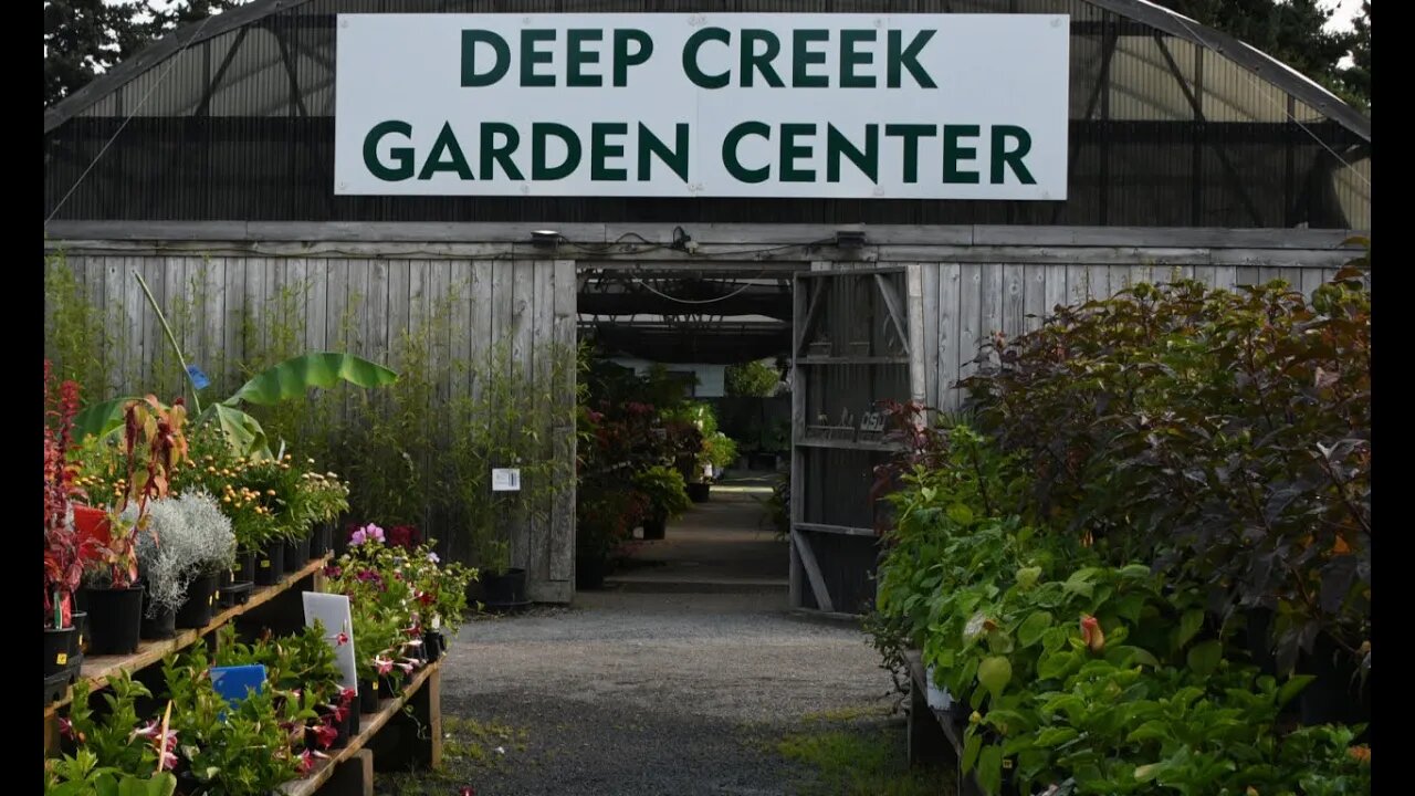 Ride Along with Q #200 - Deep Creek Garden Center 08/14/21 - Photos by Q Madp