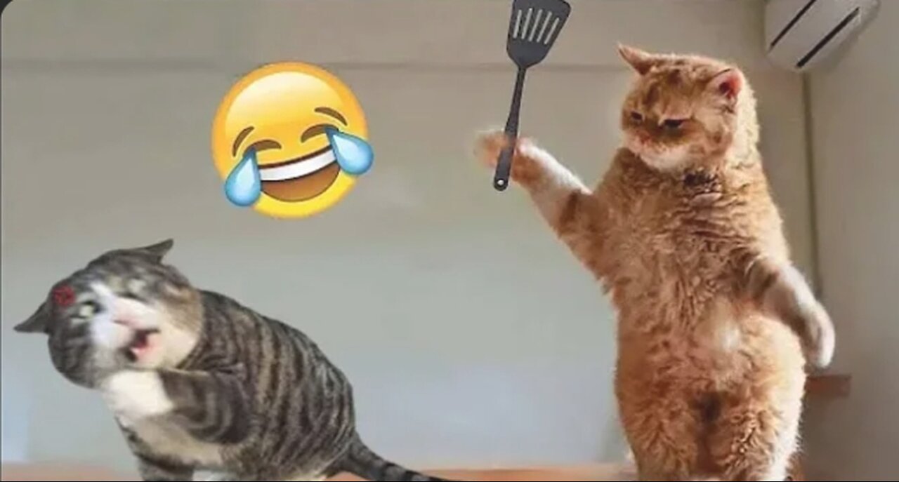 "Rolling in the Aisles: Hilarious Animal Antics You Can't Miss!"
