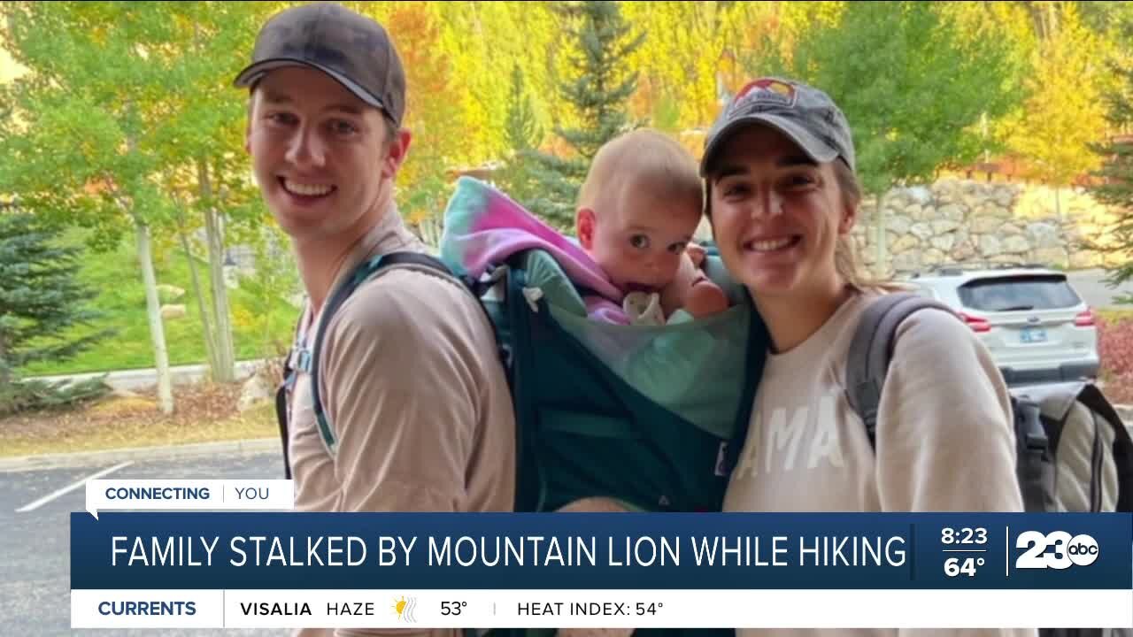 Family stalked by mountain lion while hiking