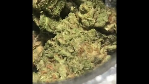 Smoke Weed Every Day @Ziplok