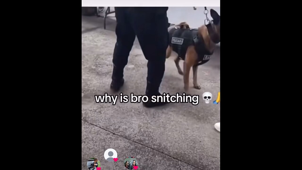 Why is bro snitching ?😭