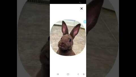 10 May 2022 #clubhouse * The #Gospel * Other stuff * #KJV