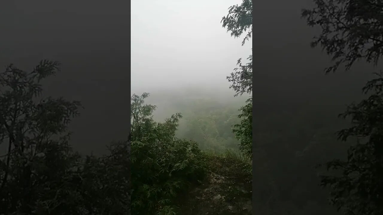 A wee bit foggy today