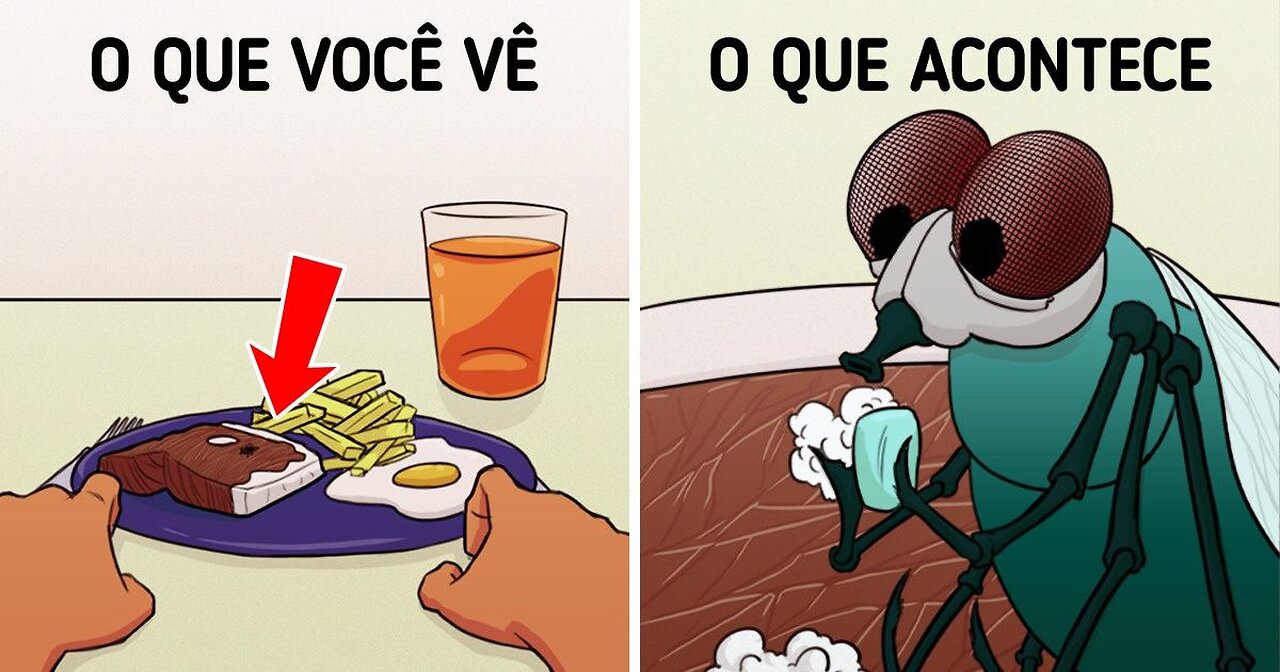 A Impossibilidade de Provar que Algo Não Existe!