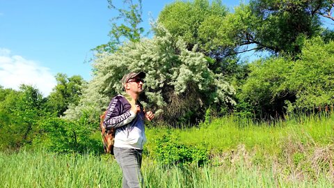 Красивая природа - Кавказа озера, Реки, и Леса