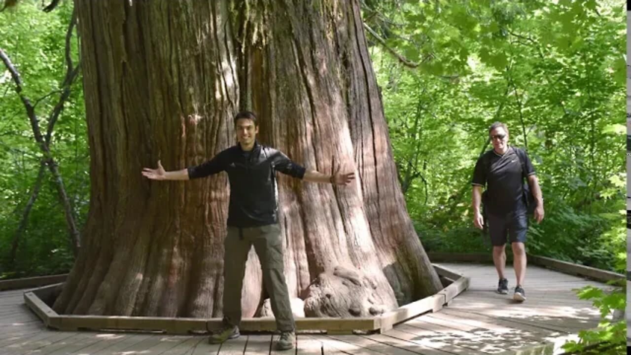 The Patriarchs and Mt Rainier National Park