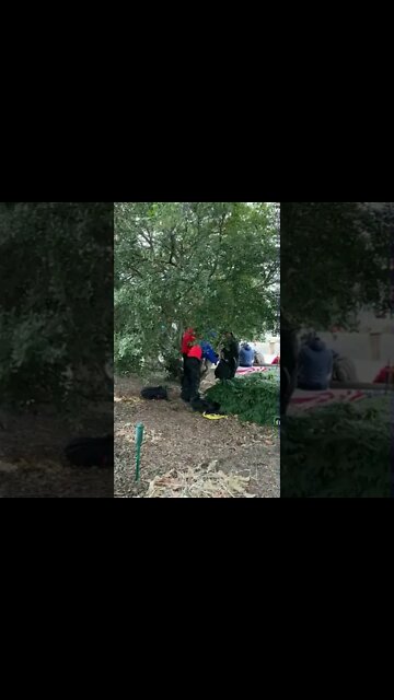 Jan 6 AnTeeFa in bushes changing clothes in bushes to emulate Trump supporters #JesusisLord