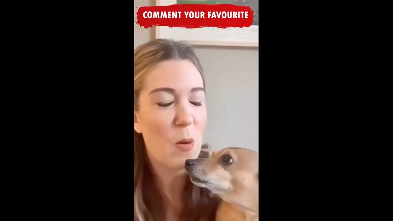 Try not to laugh 😂 Funny Animals fail