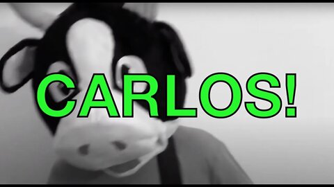 Happy Birthday CARLOS! - COW Happy Birthday Song