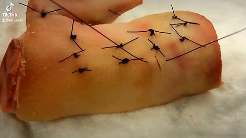 Suture Lab on a pig's foot.. Old skool footage 😀
