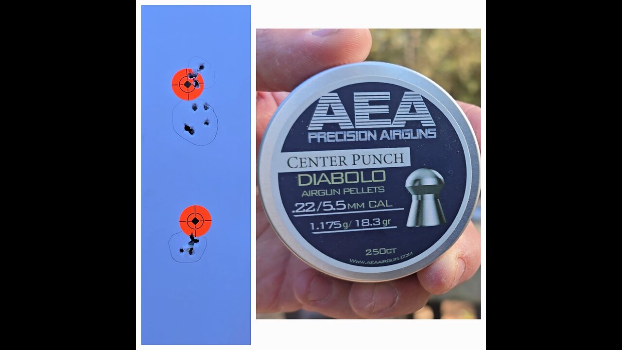 AEA Pellet Testing .22