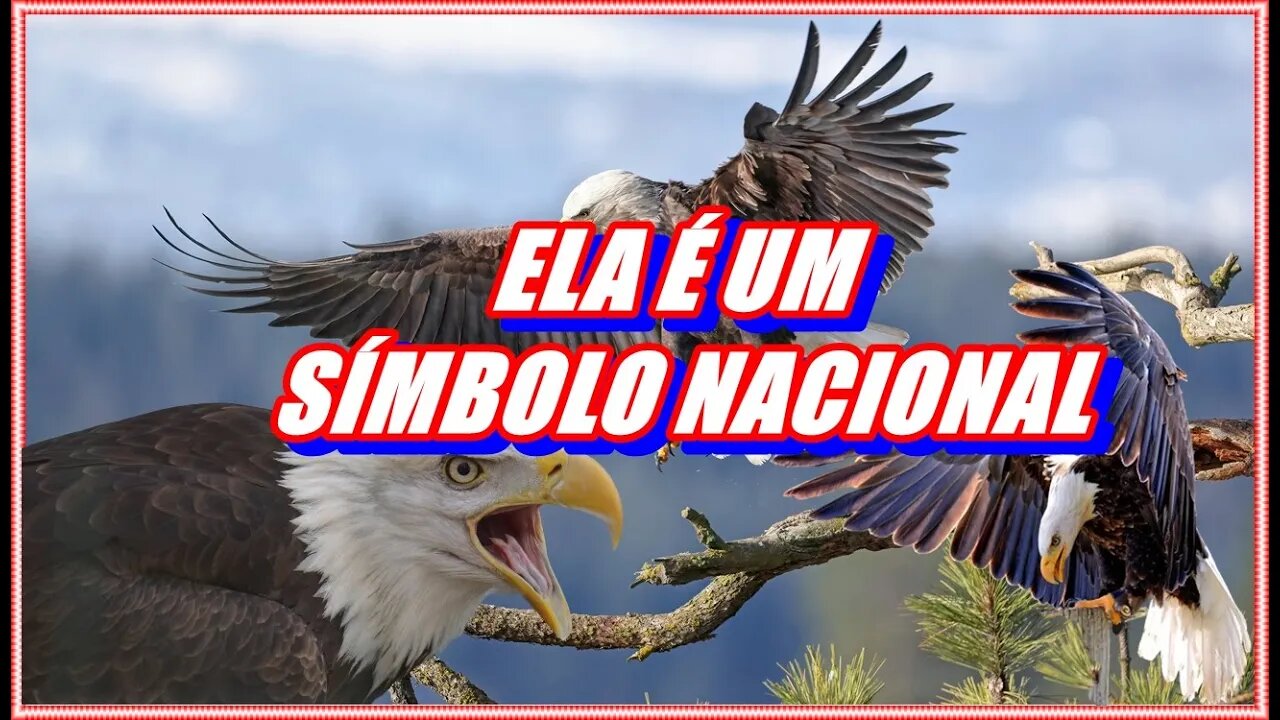 ELA É UM SÍMBOLO NACIONAL