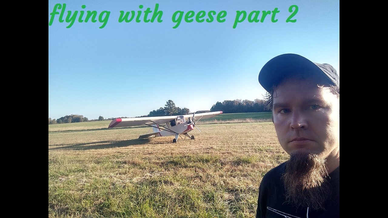 flying with geese part 2