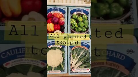 12 Packs of Seeds Planted!