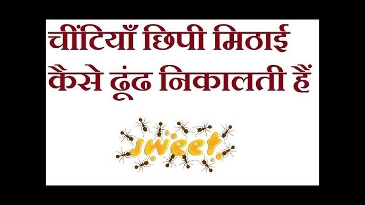 चीटियों को छिपा भोजन ढूँढने में महारत क्यों होती है