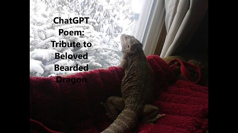 Poem "Amber-Eyed Mikko: A Tribute to a Beloved Bearded Dragon"